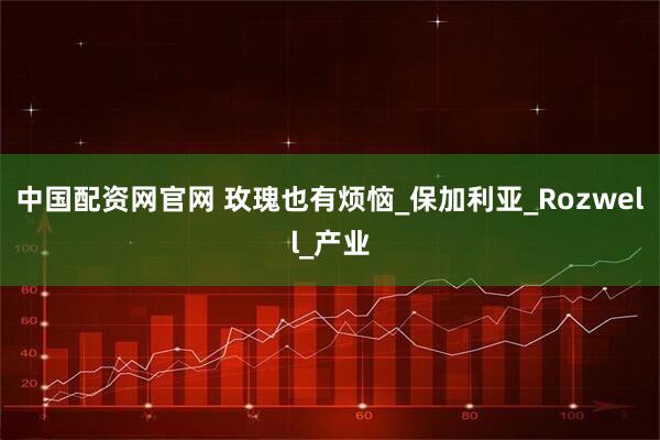 中国配资网官网 玫瑰也有烦恼_保加利亚_Rozwell_产业