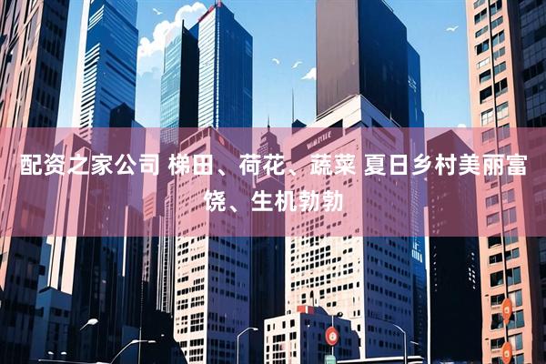 配资之家公司 梯田、荷花、蔬菜 夏日乡村美丽富饶、生机勃勃