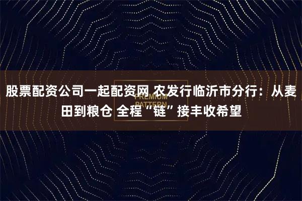 股票配资公司一起配资网 农发行临沂市分行：从麦田到粮仓 全程“链”接丰收希望