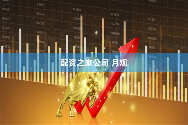 配资之家公司 月观