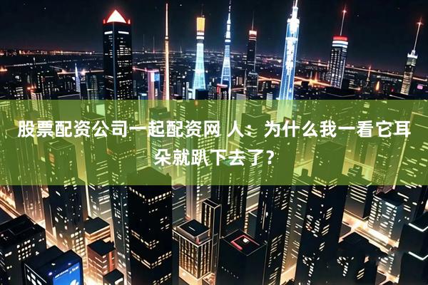 股票配资公司一起配资网 人：为什么我一看它耳朵就趴下去了？