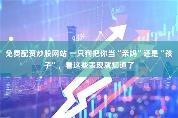 免费配资炒股网站 一只狗把你当“亲妈”还是“孩子”，看这些表现就知道了